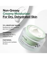 Anua Heartleaf 70 Intense Calming Cream - Image 5