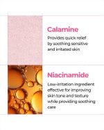 Dr. Melaxin Melting Cleanser - Image 5